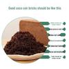 High-Foaming Coarse Coconut Coir Nutrient Soil Brick for Vegetables & Flowers