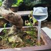 Plant Watering System Self-watering Plant Bulbs for Indoor Outdoor Gardens Automatic Watering Globes for Home Office for Easy