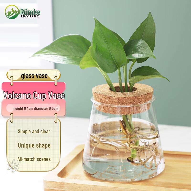 

Rymke Glass Vase