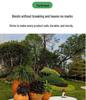 Garden Grass Stone Isolation Belt & Municipal Tree Root Barrier Weed Guard