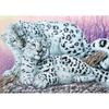 5D DIY diamantová malba Zimní sada pro vyšívání sněžným leopardem Úplná diamantová vyšívání drahokamu Obrázek Mozaika Domácí dekorace