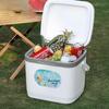 Compact Insulated Ice Box for Outdoor, Fishing, Camping, and Car Use