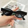 New Fashion Cat Eye Sunglasses Vintage Luxury Brand Designer Black Irregular Oval Ladies Sun Glasses Eyewear UV400 Gafas De Sol