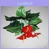 Linden Anthurium Andraeanum Green Plant For Desktop Ornament Decort
