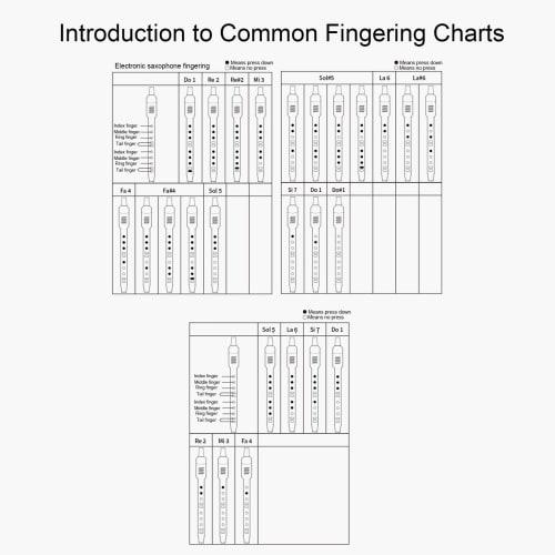 Aerophone Digital Wind Instrument, a MIDI Digital Wind Synthesizer for Children, Teachers, Seniors, and Teenagers, with Built-in Battery (black)