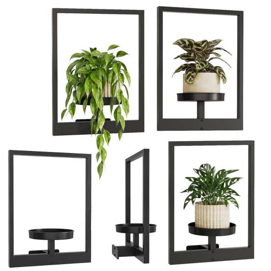 Metal Frame Plant Holder Wall Mounted Iron Frame Plant Holder Potted Plants Frame