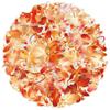 50 Koi Auspicious PET Waterproof Stickers – Transparent, Creative Gifts for Notebooks & Phones