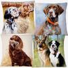 European Great Hunting Dogs Drahthaars Black Labrador Dog Poster Animals Painting Cushion Covers Decorative Pillowcase For Sofa