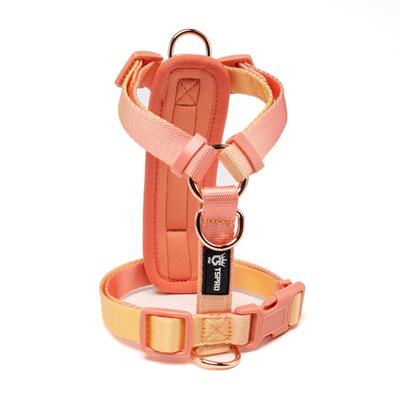 TSPRO Dog Harness with Lightweight and Breathable Suitable for Small and Medium Perfect for Walking and Durable Pet Harness Size Anti-Pull Protection,