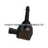 Ignition Coil for Fengdu MX3 MX35, Fengshen A60 AX5, Yizhen, Qichen T70 T90 F01R00A074