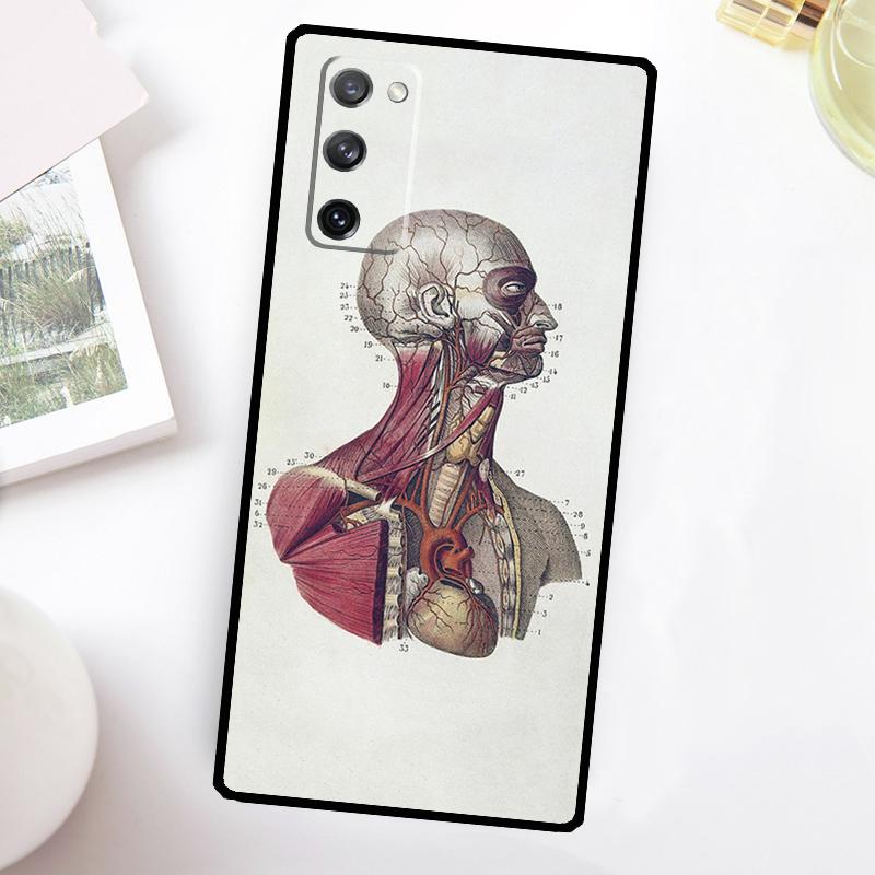 Medizinische menschliche Anatomie Hülle Für Samsung Galaxy S23 Ultra S22 Plus S20 S21 FE S8 S9 S10 Note 10 20 S24 Ultra Hülle