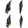 Realistic Bird Statue Black Raven Statue Animal Decoration   Outdoor