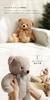 Petit Luu Lovable Bear (Ivory Normal) 40cm DS Size Teddy Bear Plush Toy