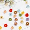 Flower Push P - 50 Pcs Cute Decorative Colorful Floral Thumb Tacks for Cork Board Wall Bulletin Board Travel Map Photo Home Office Supplies