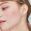 [Rosemont] Silver Earrings Rc0015