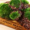 Plant Home Garden Decoration DIY Simulation Prop Rock Fake Stone Foam Moss Stone Micro Landscap