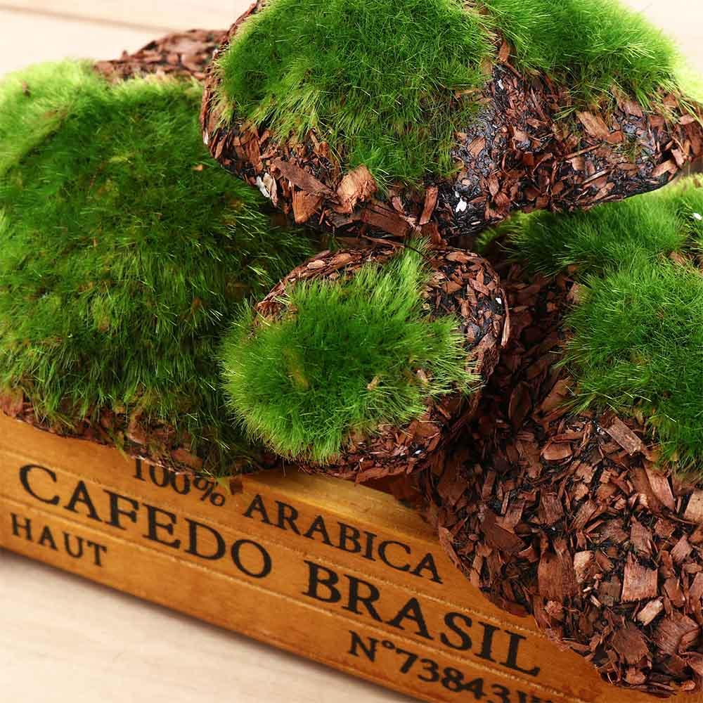 For Vase Glass Cylinder DIY Artificial Plant Moss Micro Landscap Fake Stone Rock Foam Moss Stone
