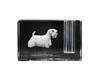 Sealyham Terrier, Welsh Border Terrier, Cowley Terrier – Pen Stand, Crystal Organiser with Dog Photo | Art-Dog