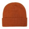 Winter Warm Cuffed Beanie Knit Skull Cuff Cap Soft Beanie Hat  for Men Women