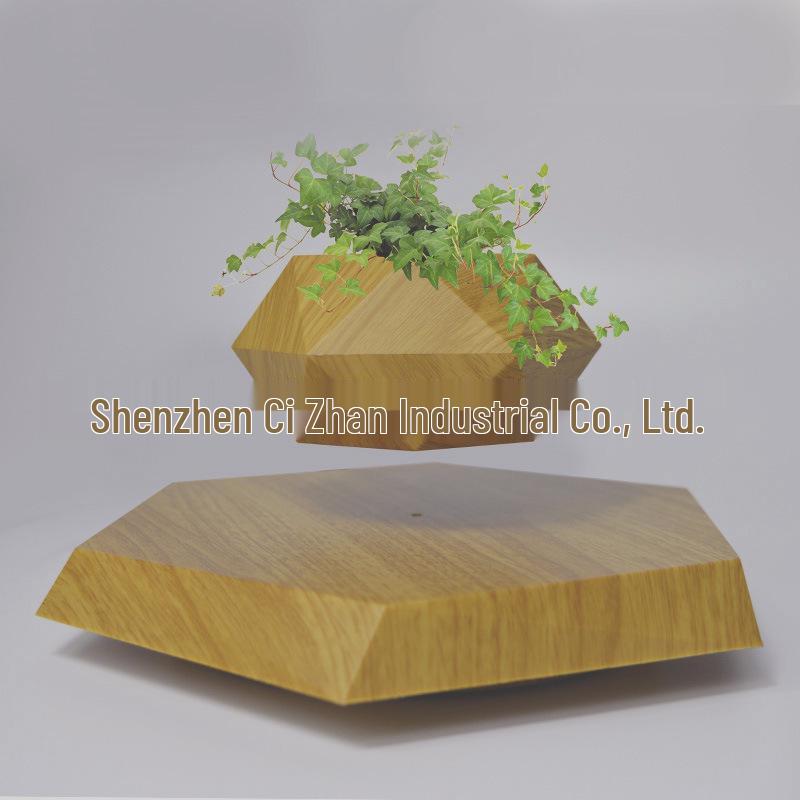Floating Rhombus Magnetic Levitation Potted Plant Ornament