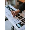 Arturia KeyLab Essential 88 mk3 ? 88-Key USB MIDI Controller Keyboard with Analog Lab V Software, White