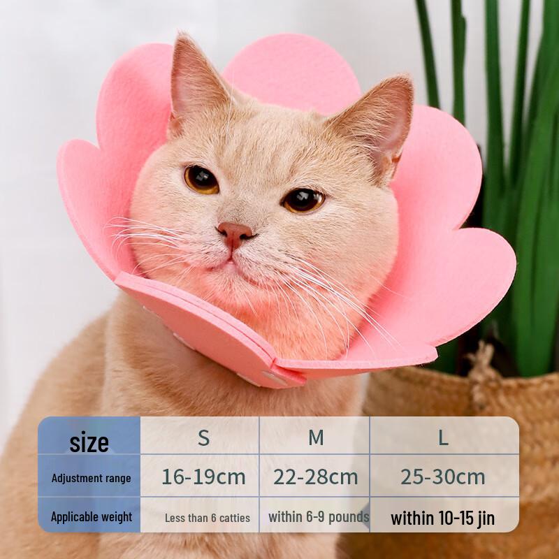 Qi'ao Cat Sunflower Recovery Collar (5-Pack)