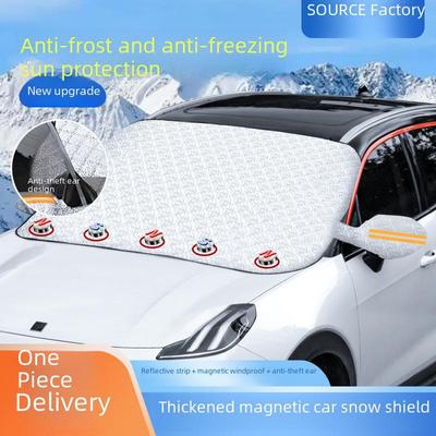 Întreținerea caroseriei – Protecție împotriva înghețului auto