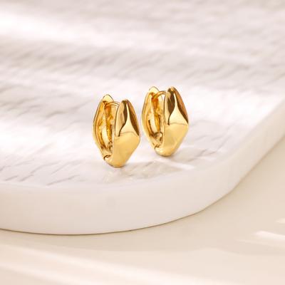 Stainless Steel Serpentine Earring for Women Gold Color Anti Fading Snake Hoop Earrings Party Vacation Jewelry Accessories Gift