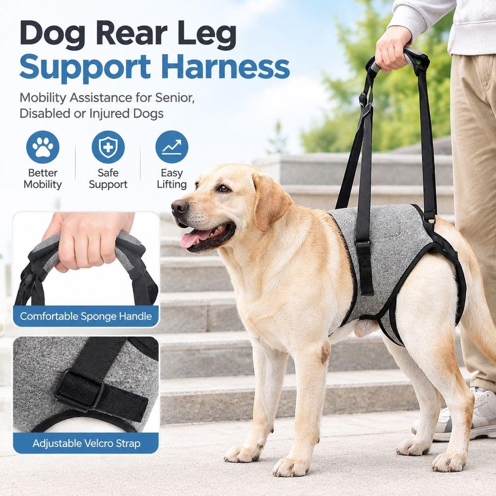 Adjustable Velcro Strap Dog Rear Leg Support Harness Dog Lift Support Strap Injured Dogs
