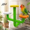 Platforma Stojąca dla Rozelle Kaktusowa Drążek dla Papugi, Wielopoziomowa Teksturowana Antypoślizgowa Platforma, Drążek do Klatki dla Papużek Falistych Papugi Zabawka, Akcesorium dla Ptaków Papużki