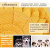 Cat Dog Elizabeth Collar Soft Anti-Bite Wound Healing Cone Sunflower Pet Protective