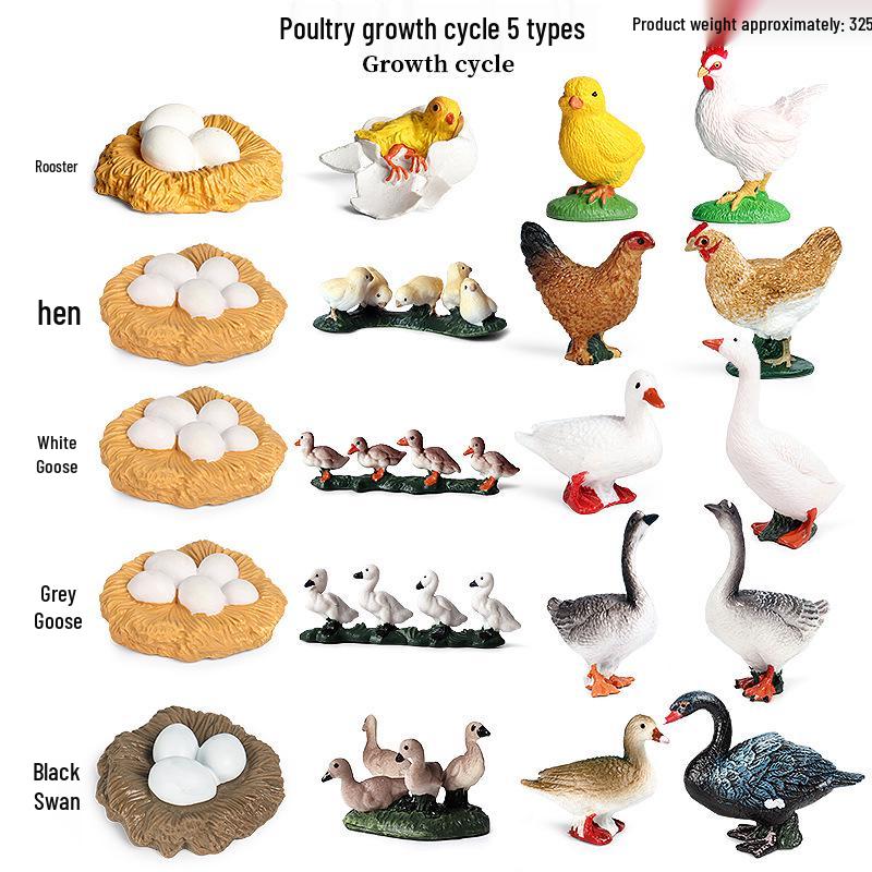 Realistic Jungle Animal Model: Hedgehog, Mouse & Badger Toy