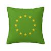 EU Europe European Union European Flag EU Stars Square Pillowcase Cushion Cover Pillow Case Throw Pillow Cover for Home Bedroom