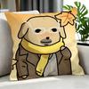 Character NNudaeng Cushion Cover Cushion Cover Set Pcs x x x Pillowcase Decorative Sofa Home Decor