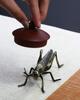 Creative New Animal Insect Decor Bronze Grasshopper Teapot Lid Holder Alloy Kung Fu Tea Pet Home Garden Decoration 3D Ornament