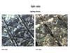 High-End Italian Crystal Chandelier for Living Room, Bedroom, or Restaurant