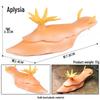 Marine Animal Simulation Model Figures: Shark, Dolphin, Hammerhead, Crab, Squid, Starfish for Kids' Education