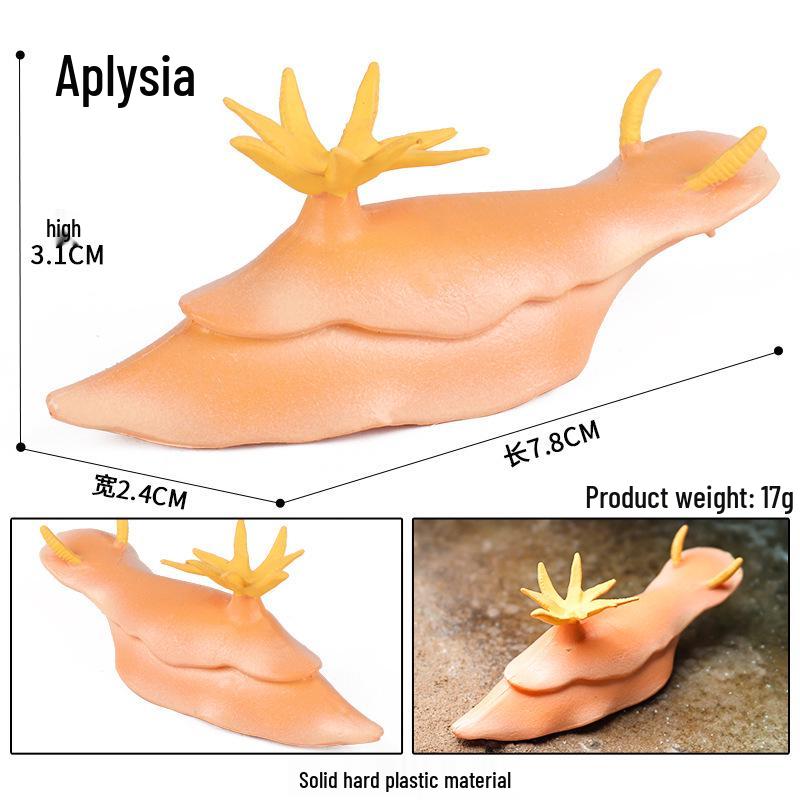 Marine Animal Simulation Model Figures: Shark, Dolphin, Hammerhead, Crab, Squid, Starfish for Kids' Education