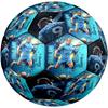 Haaland Manchester City Striker Size 5 Football Machine Sewn Indooroutdoor Universal Football Sports Enthusiast Gifts