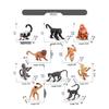 Exotic Primate Cognitive Simulation Animal Model