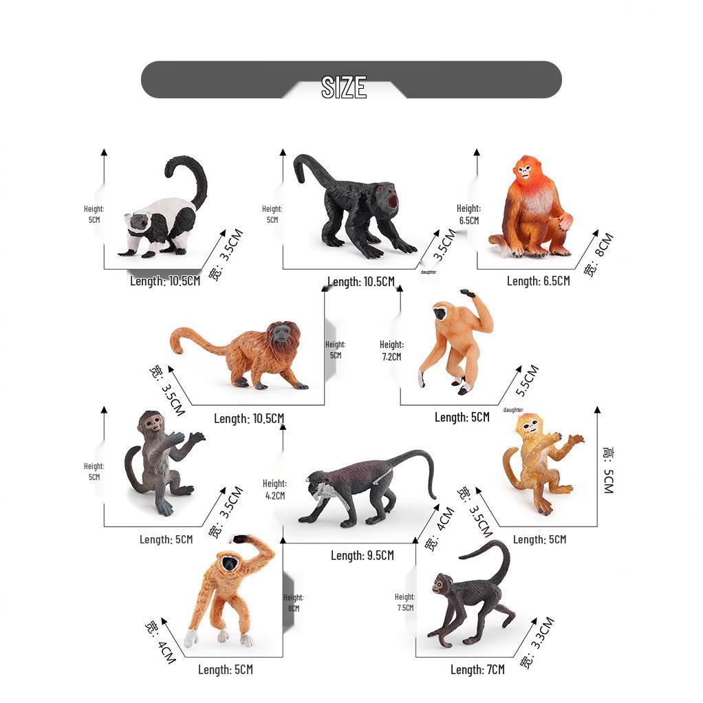 Exotic Primate Cognitive Simulation Animal Model