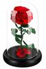 Eternal Red Led Rose As A Gift For A Loved Person On Women' Day