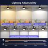 2-IN-1 Socket Fan Lights with Remote, Timing Funtion, 3 Color Temperature&6 Speeds, E26/E27 Bulb Ceiling Fans Lamps for Room