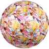 Winx Club Theme Size 5 Soccer Ball, Suitable for Both Indoor and Outdoor Matches, a Gift Suitable for Everyone.