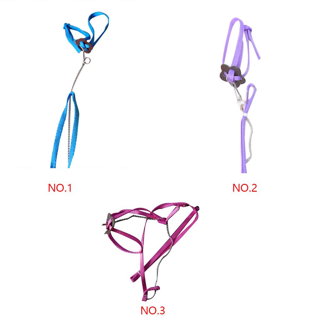 Outdoor Adjustable Bird Vest Leash Bird Training Rope Traction Strap Out Rope