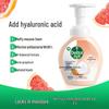 Dettol Moisturizing Grapefruit Foam Hand Wash Twin Pack