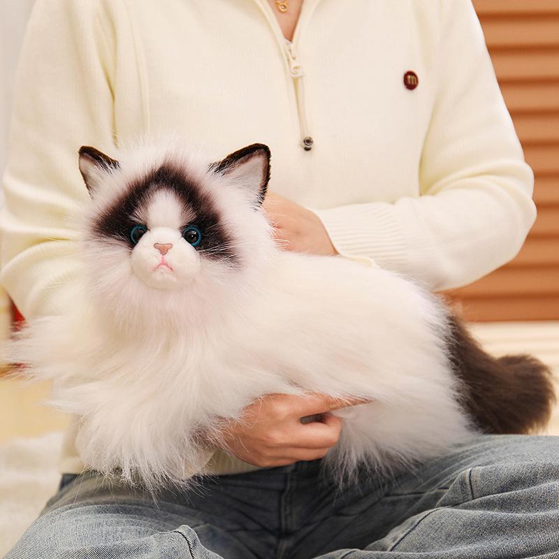 50CM Simulated Ragdoll Cat Plush Toys Soft Stuffed Doll Fluffy Lying Siamese Cat Calico Cat Doll Lovely Pet Accompany Gifts