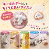 CHALAN Mini Squeeze Keychain Set Squishy Soft and Watery with Ball Perfect for Killing Squeezing Fun Sensory Soft and Great for Children and Gift Set