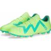 Puma Future Play Fg/Ag shoes 107187-03 46.5