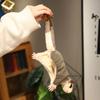 New Super Cool  Flyling Sugar Glider Plush Toys Cozy Soft Flying Squirrel Toys Cute Hand Center Pets Funny Gift To Kids